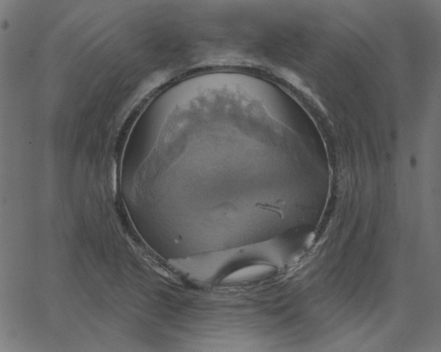 X0000067841221200604271611