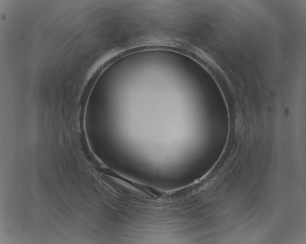 X0000067841222200604271611