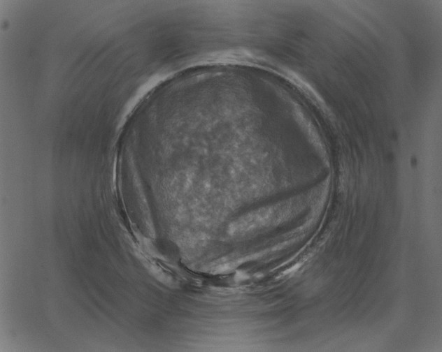 X0000067841224200604271611