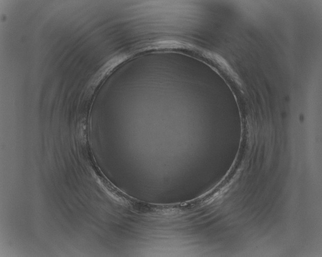 X0000067841225200604271611