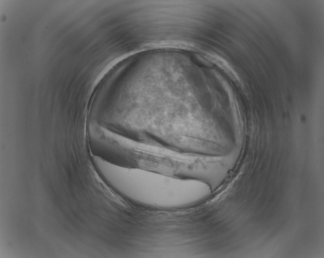 X0000067841228200604271611