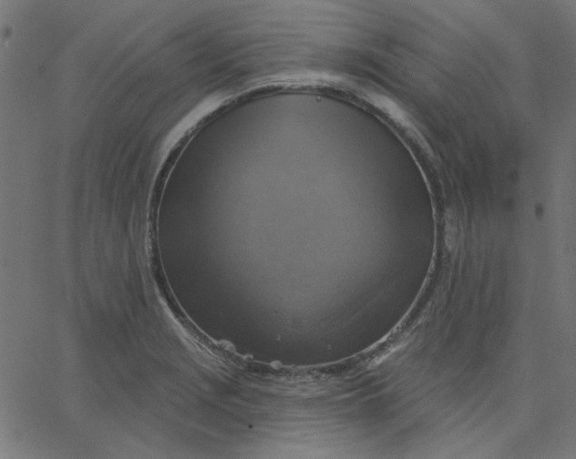 X0000067841229200604271611