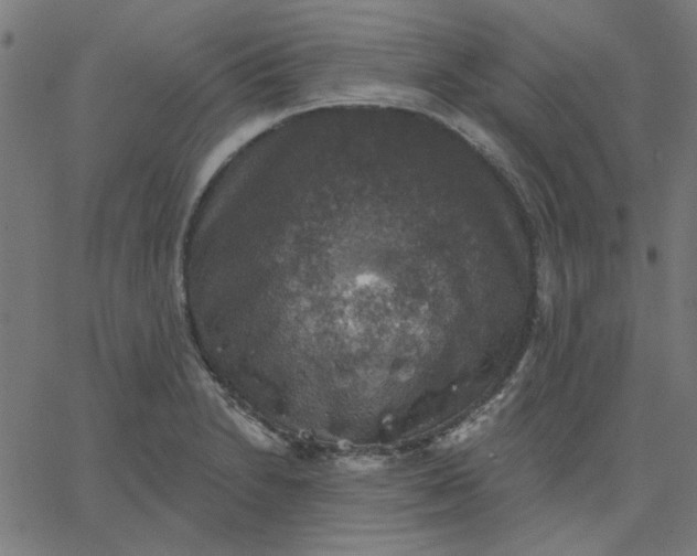 X0000067841230200604271611