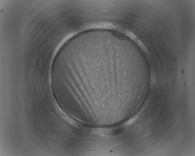 X0000067841232200604271611