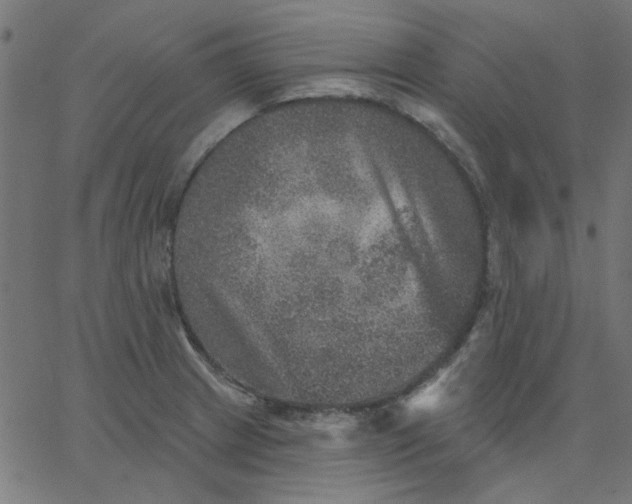 X0000067841233200604271611