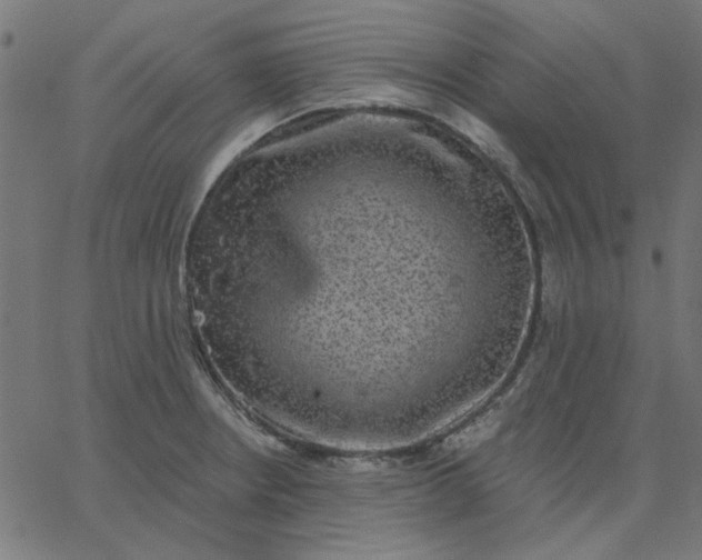 X0000067841234200604271611