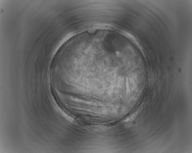 X0000067841235200604271611