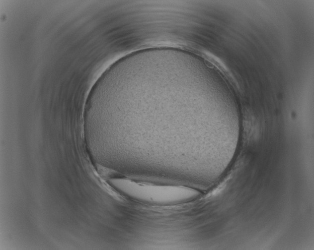 X0000067841236200604271611