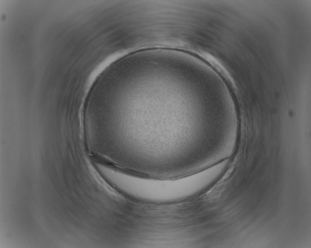 X0000067841238200604271611