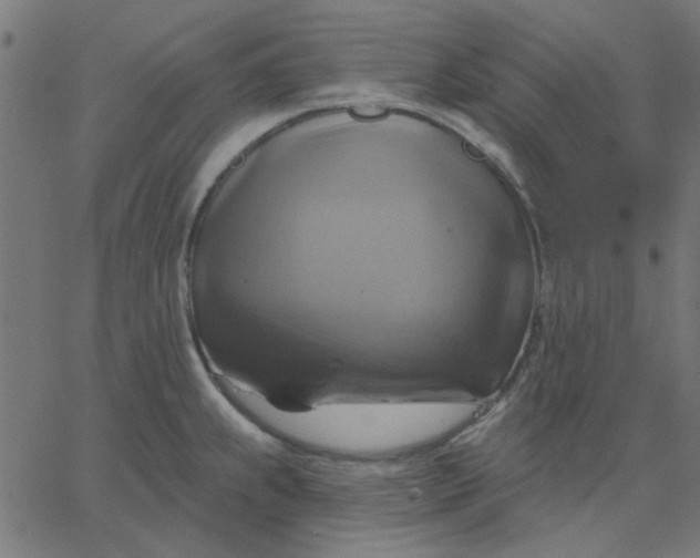 X0000067841239200604271611