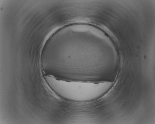 X0000067841240200604271611