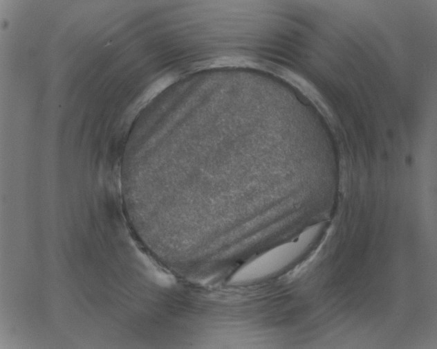 X0000067841241200604271611