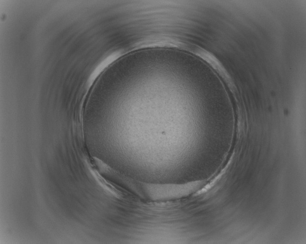 X0000067841242200604271611