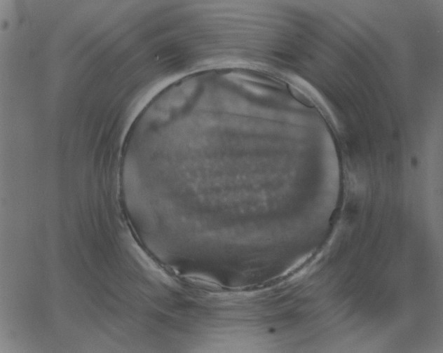 X0000067841244200604271612