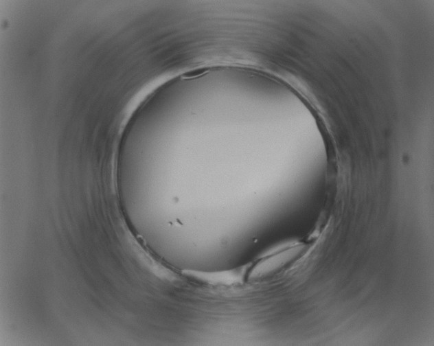 X0000067841246200604271612