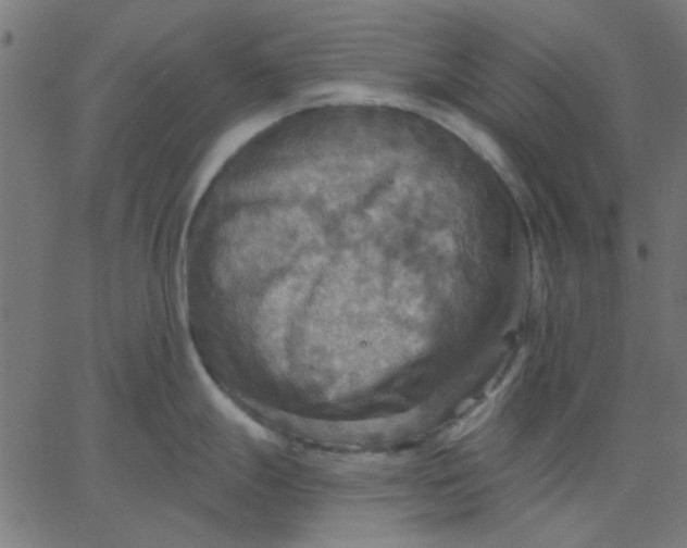 X0000067841247200604271612