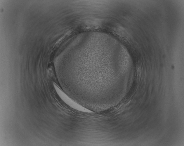 X0000067841250200604271611