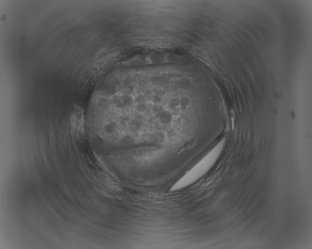 X0000067841251200604271611