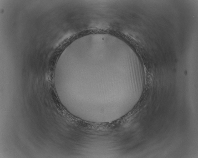 X0000067841254200604271611