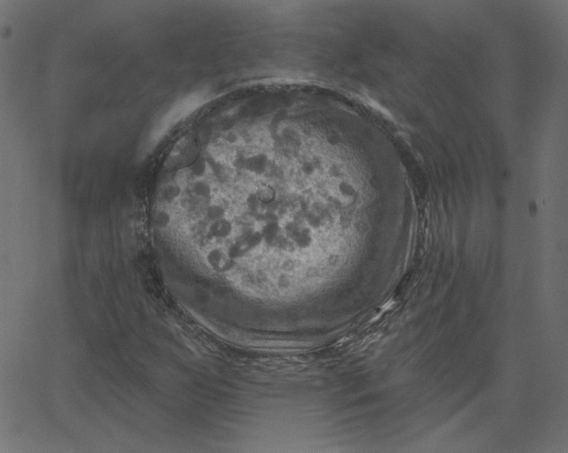 X0000067841255200604271611