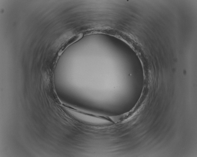 X0000067841257200604271611