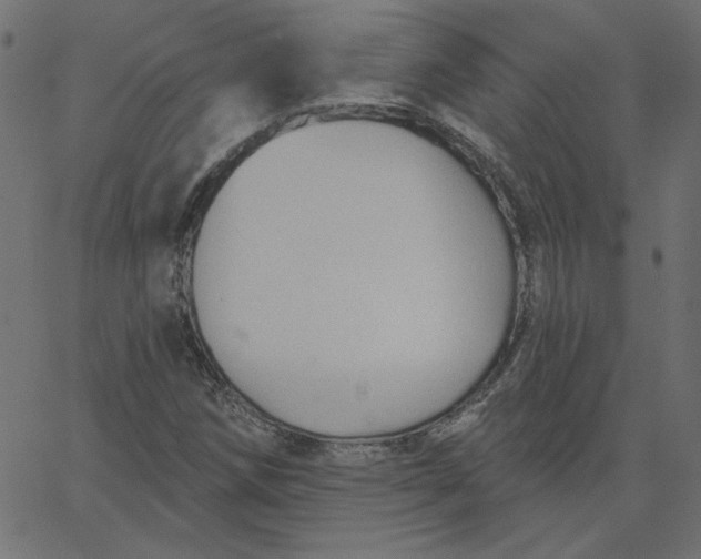 X0000067841258200604271611