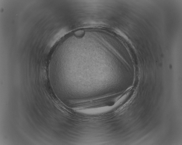 X0000067841259200604271611