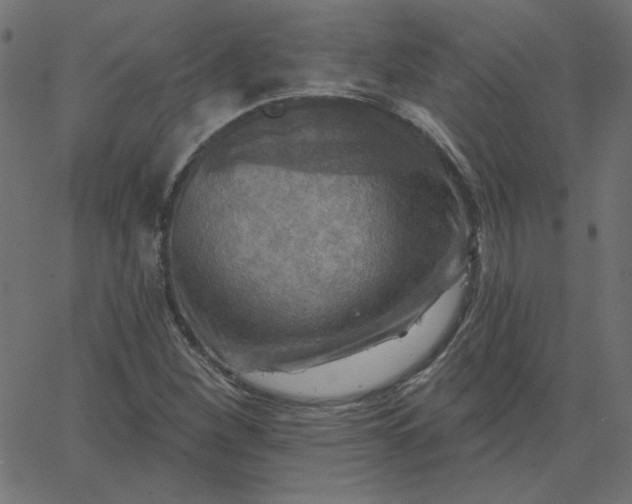 X0000067841260200604271611