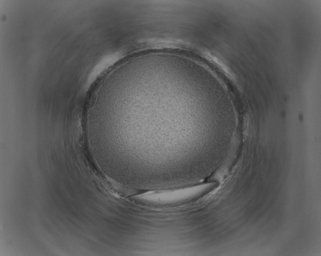 X0000067841261200604271611