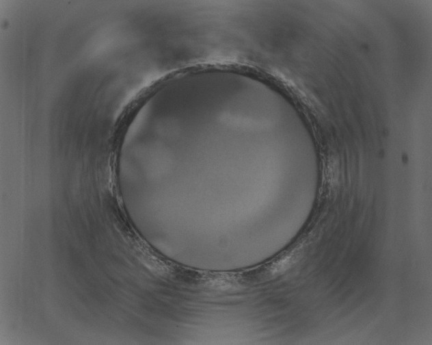 X0000067841262200604271611