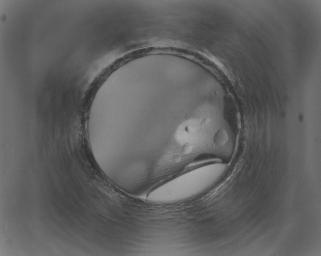 X0000067841263200604271611