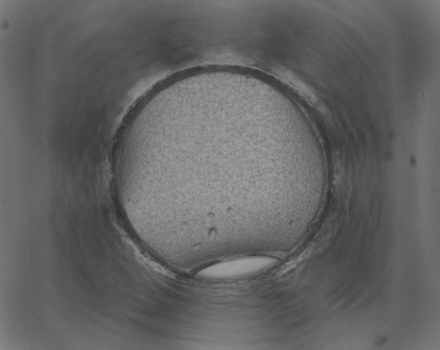 X0000067841264200604271611