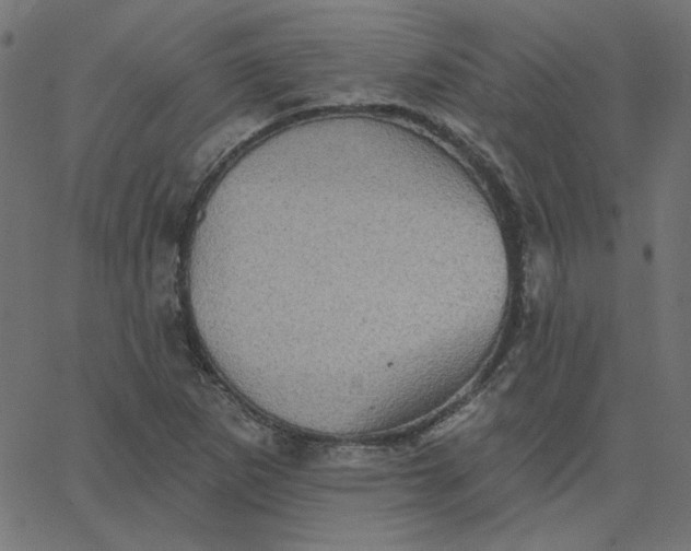 X0000067841265200604271611