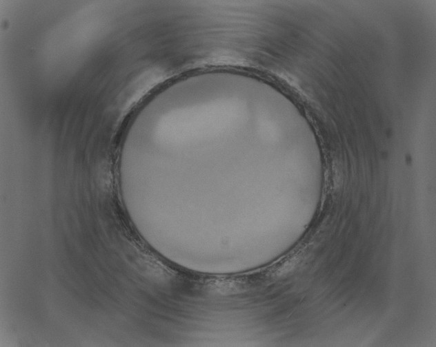 X0000067841266200604271611