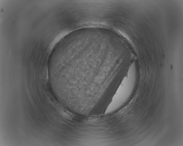 X0000067841267200604271611