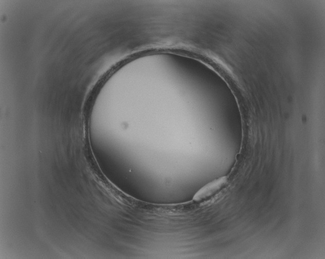 X0000067841270200604271610