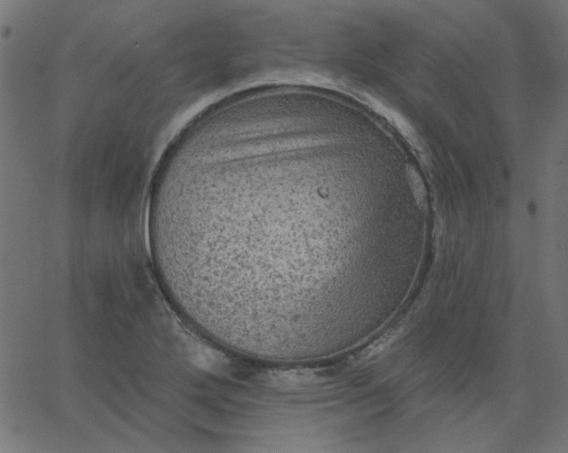 X0000067841272200604271610