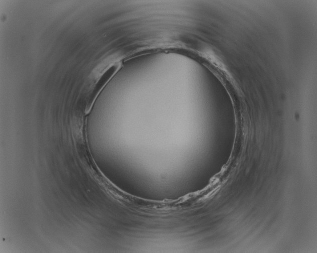 X0000067841273200604271610