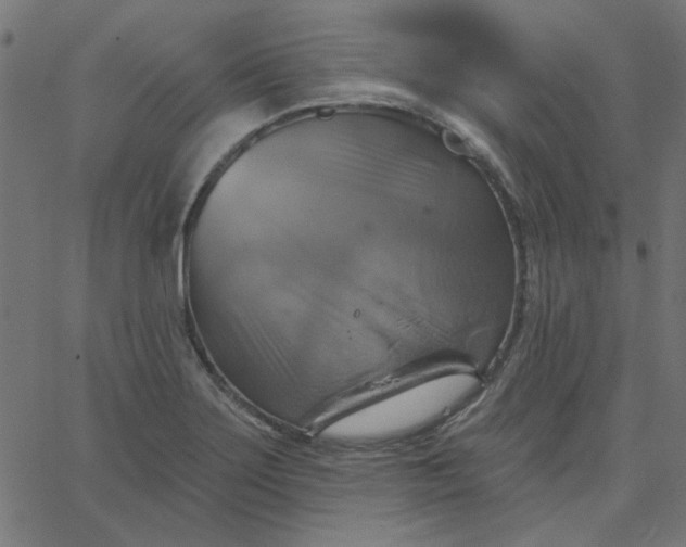 X0000067841275200604271610