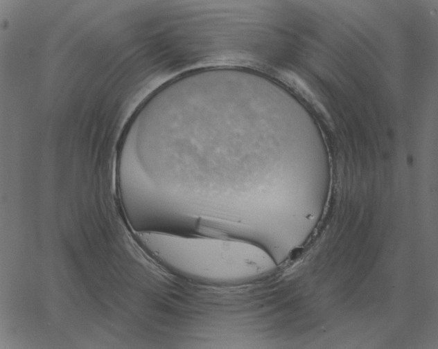 X0000067841276200604271610