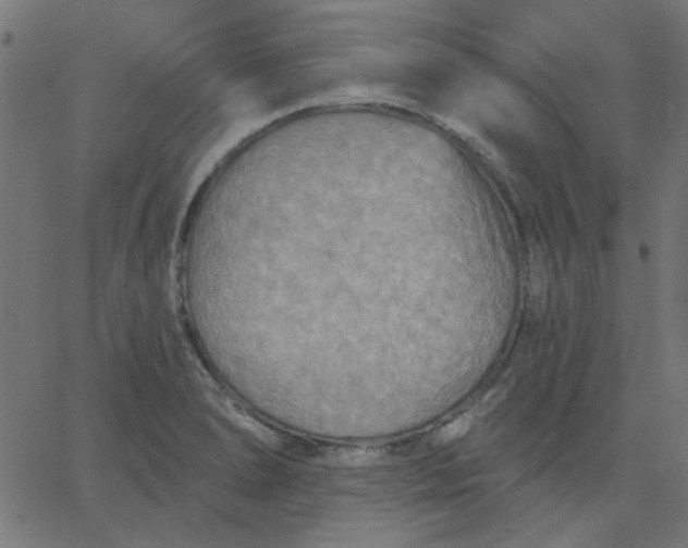 X0000067841278200604271610