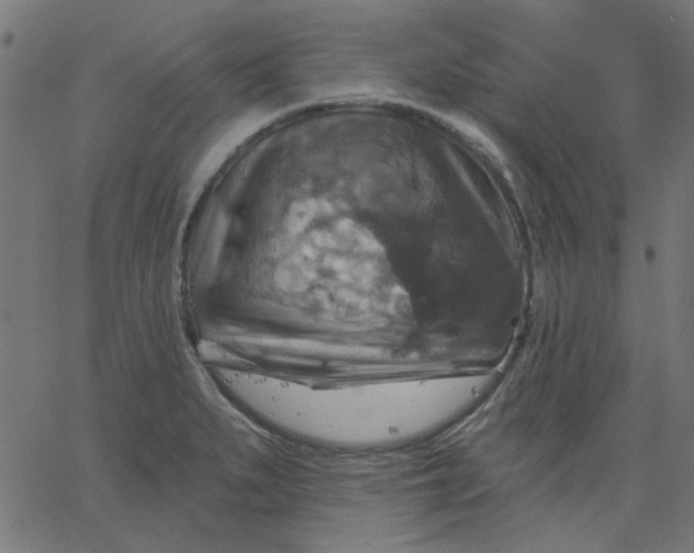 X0000067841279200604271610