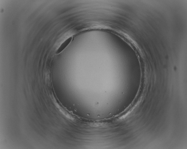 X0000067841281200604271610