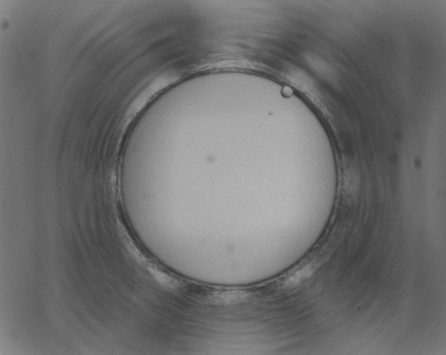 X0000067841282200604271610