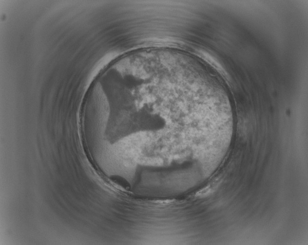 X0000067841283200604271610