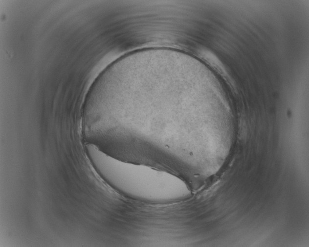 X0000067841284200604271610