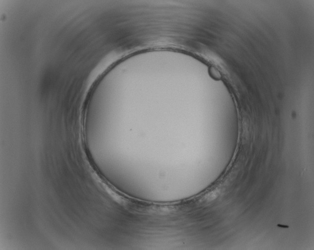 X0000067841286200604271610