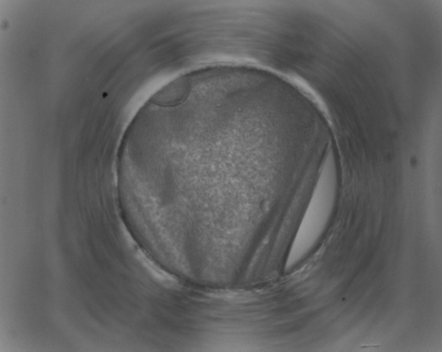 X0000067841287200604271610