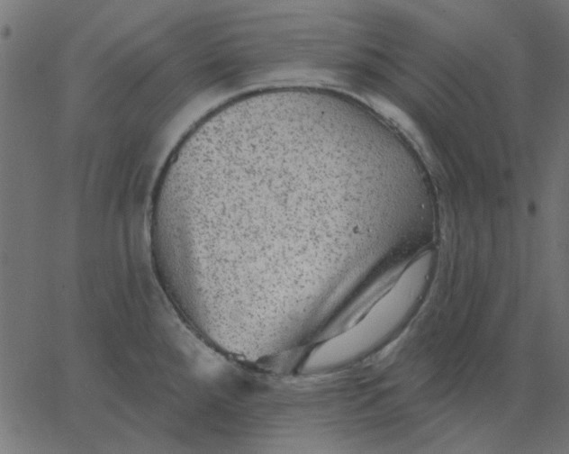 X0000067841288200604271610