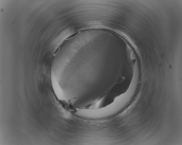 X0000067841289200604271610